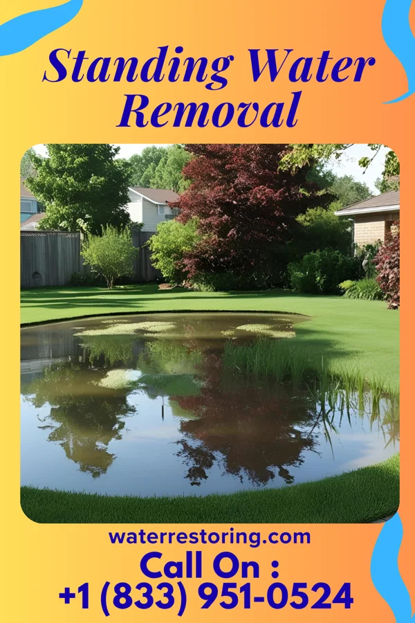 Standing Water Removal in Grain Valley, MO